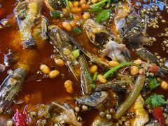 -青城甲(青城山店)