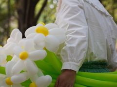 -蜀冈西峰生态公园