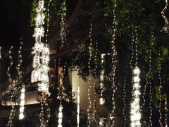 -闽江夜游台江旅游码头