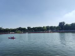 -朝阳公园游乐园