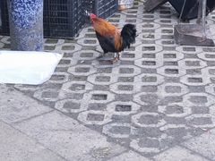 -钟鼎寺