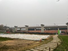 -秀丽东方