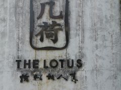 -几荷·恰似故人来(秀水广场店)