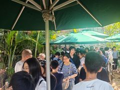 -珠海长隆海洋王国-鹦鹉过山车