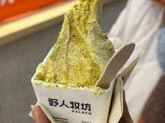-野人先生现做冰淇淋(西安赛格店)