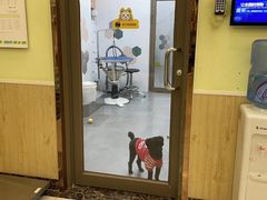 -瑞鹏宠物医院·骨科·猫科·内科(第一中心)