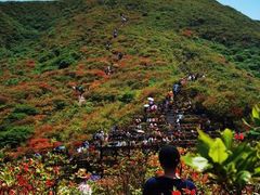 -大围山国家森林公园