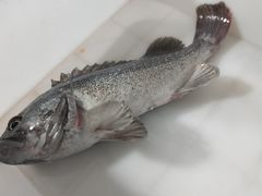 -宾朋海鲜饭庄(兴海路店)