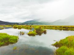 -腾冲北海湿地