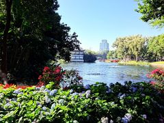 -荔湾湖公园