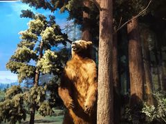 -陕西自然博物馆