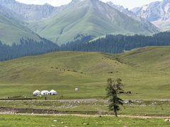 -新疆那拉提国家旅游度假区