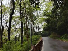 -三门江国家森林公园