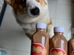 蔡澜奶茶-蔡澜点心·粤菜(月星环球港店)