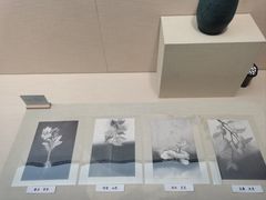 -广东中医药博物馆