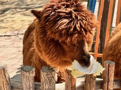 -水上乐园·欢乐世界