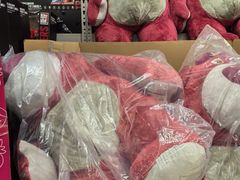 -盒马X会员店(上海森兰商都店)