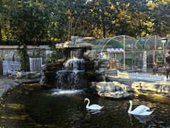 -北京市海淀外国语实验学校