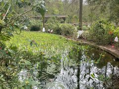 -重庆彩云湖湿地公园