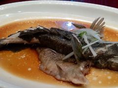 -小龙酒家(桂平路店)