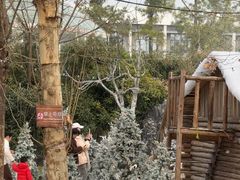 -HERRE·FARM 赫尔露营农场·团建聚会包场