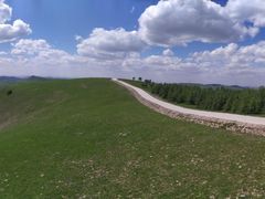 -塞罕坝国家级自然保护区