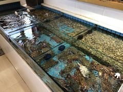 -双海酒店·海鲜家常菜(南戴河店)