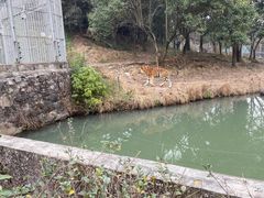 -宁波野生动物园