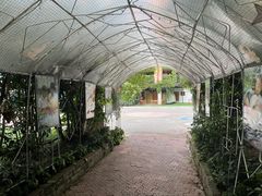 -金豆子幼稚园