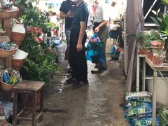 -万商花鸟市场