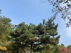 -长春市南湖公园