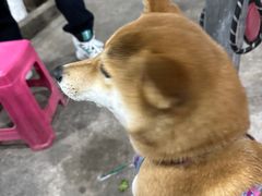 -同心烧烤(总店)