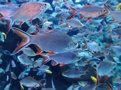 -成都浩海立方海洋公园