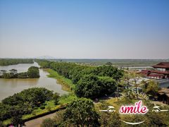 -大湾区中央湿地公园