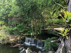 -绿光森林餐厅