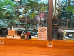 -日出拉面(望京店)