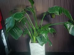 -阿伟海鲜楼·福建菜(涵江店)