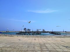 -东港音乐喷泉广场