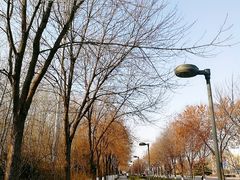-仁和公园(顺义区)
