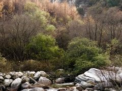 -秦岭风景区