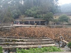 -韶山毛泽东同志故居