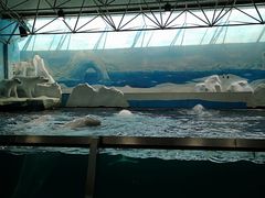 -秦皇岛乐岛海洋王国