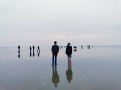 -碧海金沙