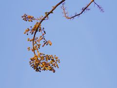 -红星桥(地铁站)