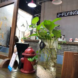 -J-Flying艺术形象设计