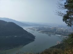 -铁山坪森林公园