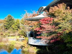 -轻井泽王子购物广场