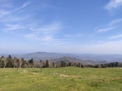 -老秃顶草原景区