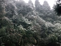 -龙苍沟森林公园