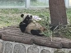 -西安秦岭野生动物园
